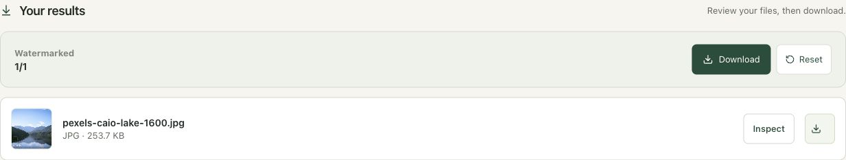 Step 4: Apply again and review the completed result in the actual add watermark workspace