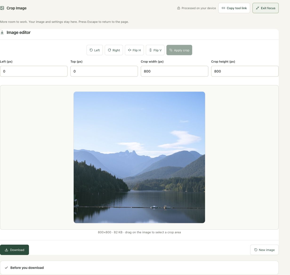 Step 4: Apply the crop and verify the new dimensions in the actual crop workspace