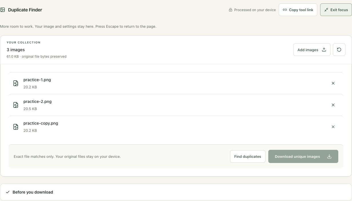 Step 2: Load a collection with a known duplicate in the actual duplicate finder workspace