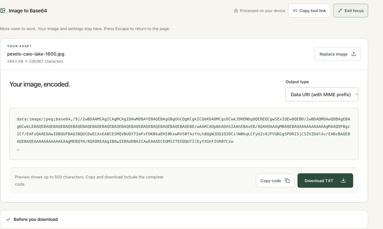 Step 2: Load the JPG and inspect the MIME-prefixed output in the actual image to base64 workspace