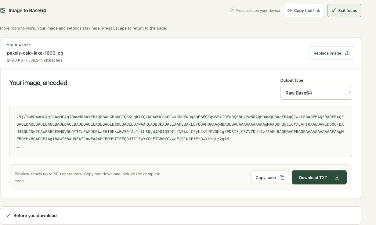 Step 3: Switch to Raw Base64 when the integration requests it in the actual image to base64 workspace