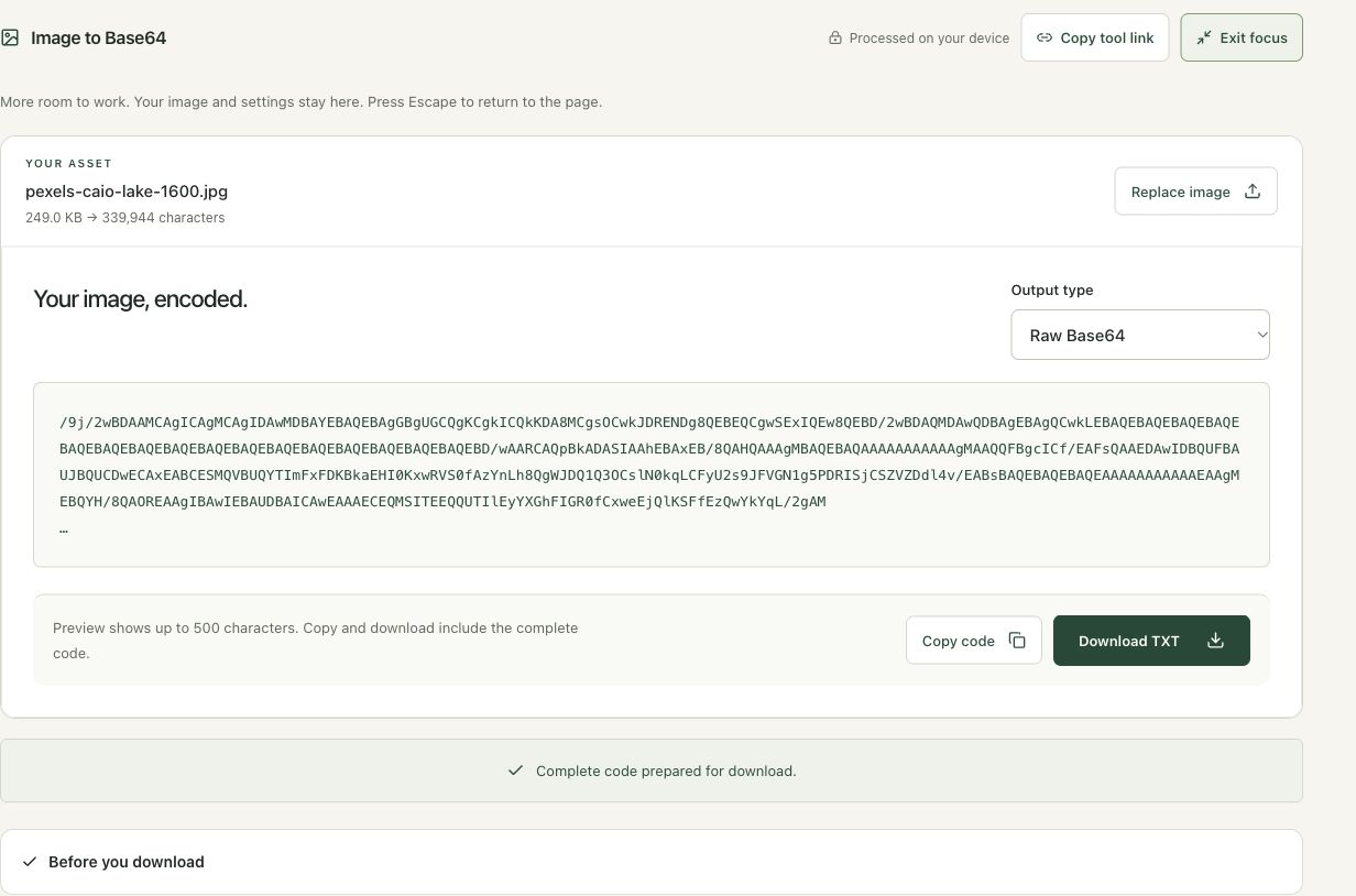 Step 4: Download the complete code and verify its use in the actual image to base64 workspace