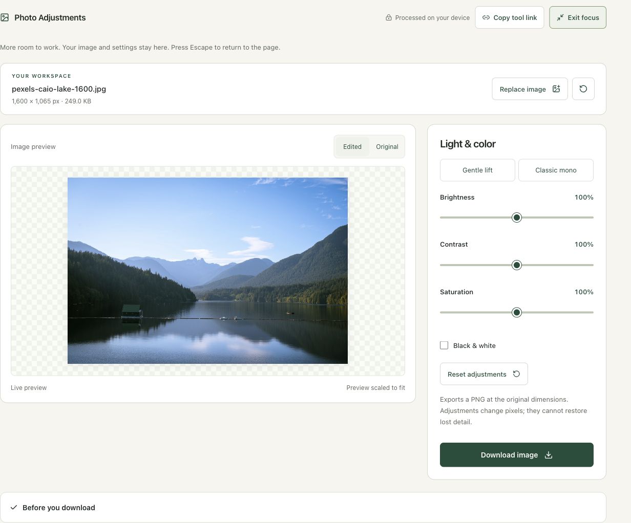 Step 2: Load the photograph and inspect the neutral preview in the actual photo editor workspace