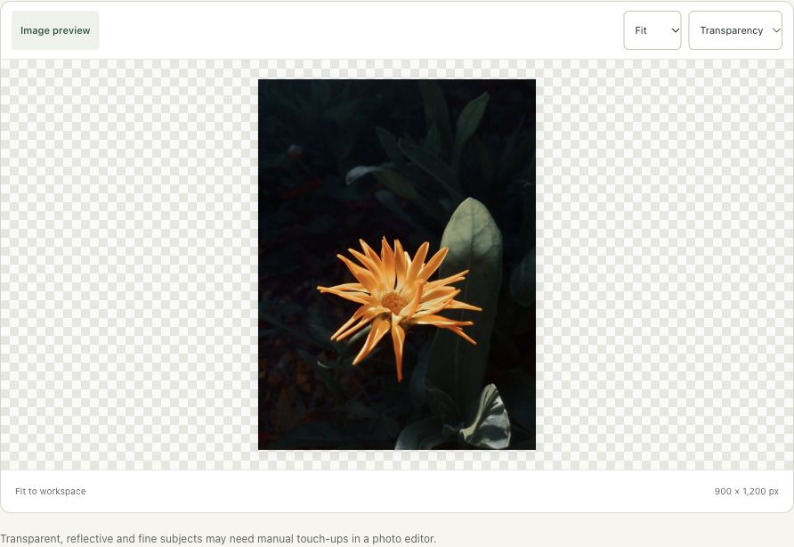 Step 2: Load the portrait flower and inspect its outline in the actual remove background workspace