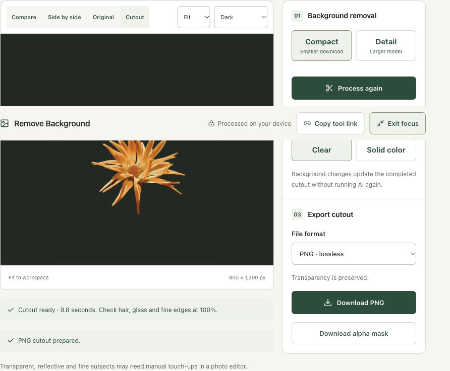 Step 4: Inspect the cutout on Dark and export transparent PNG in the actual remove background workspace