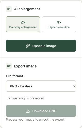 Step 3: Choose the 2× model and start local processing in the actual upscale image workspace